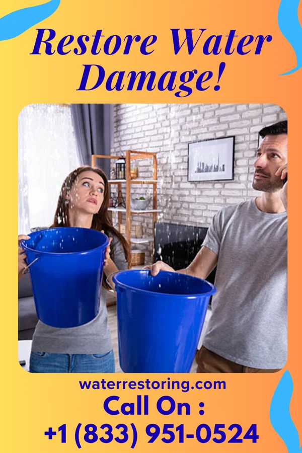 water restoration Ideal Restoration & Associates Meadowbrook