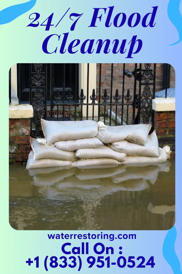 24/7 Flood Cleanup in Meadowbrook, VA