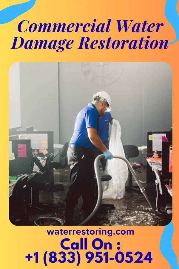 Commercial Water Damage Restoration in Meadowbrook, VA