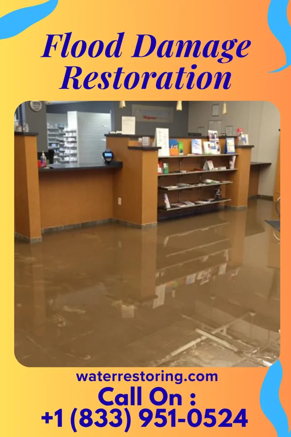 Flood Damage Restoration in Meadowbrook, VA