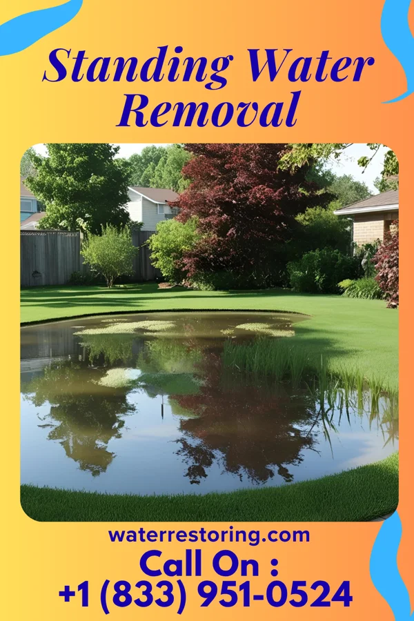Standing Water Removal in Meadowbrook, VA